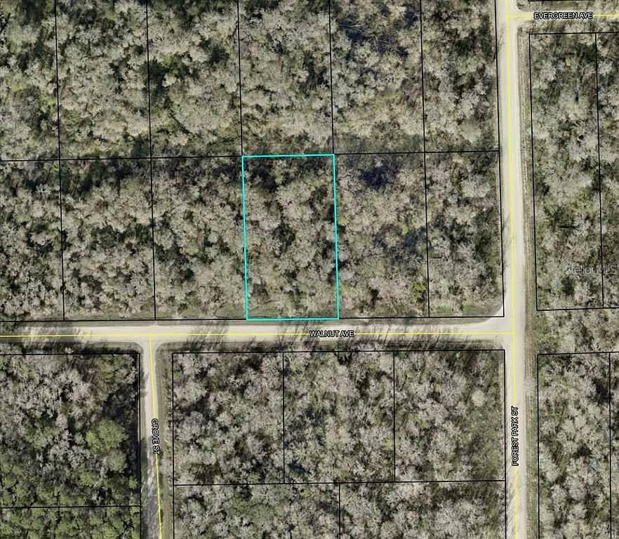 4030 Walnut Ave LOT 19 Bunnell, FL 32110 - Thumbnail 2