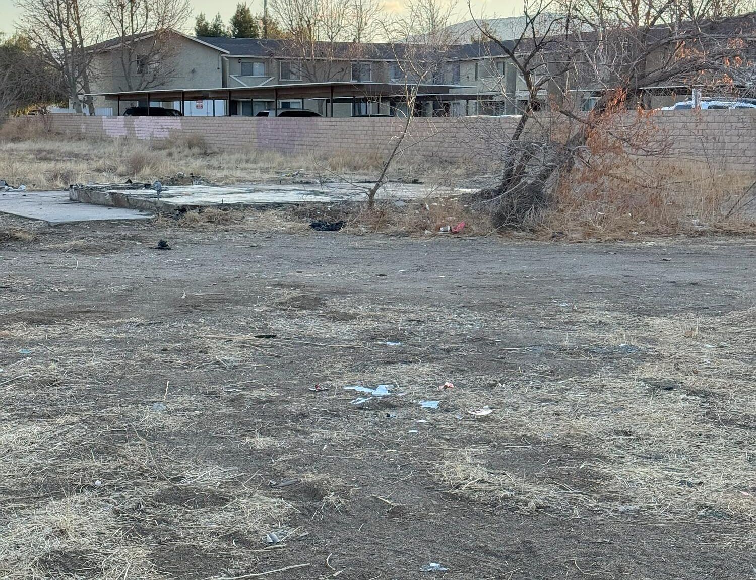 1326 E Avenue Q Palmdale, CA 93550 - Thumbnail 2