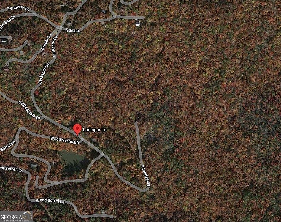 LOT 846 Larkspur Ln Clayton, GA 30525 - Thumbnail 2
