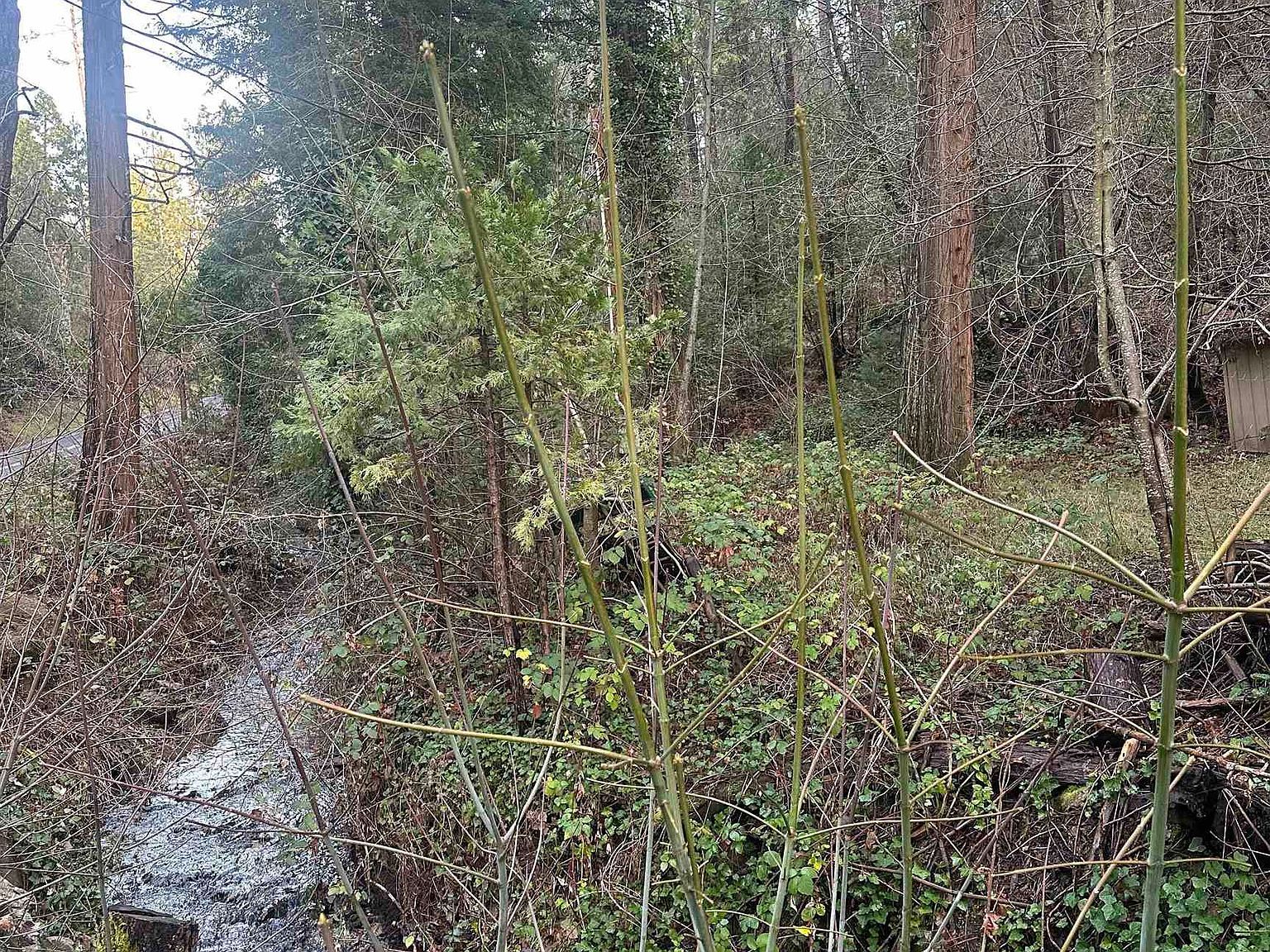 22895 S Fork Rd Twain Harte, CA 95383 - Thumbnail 2