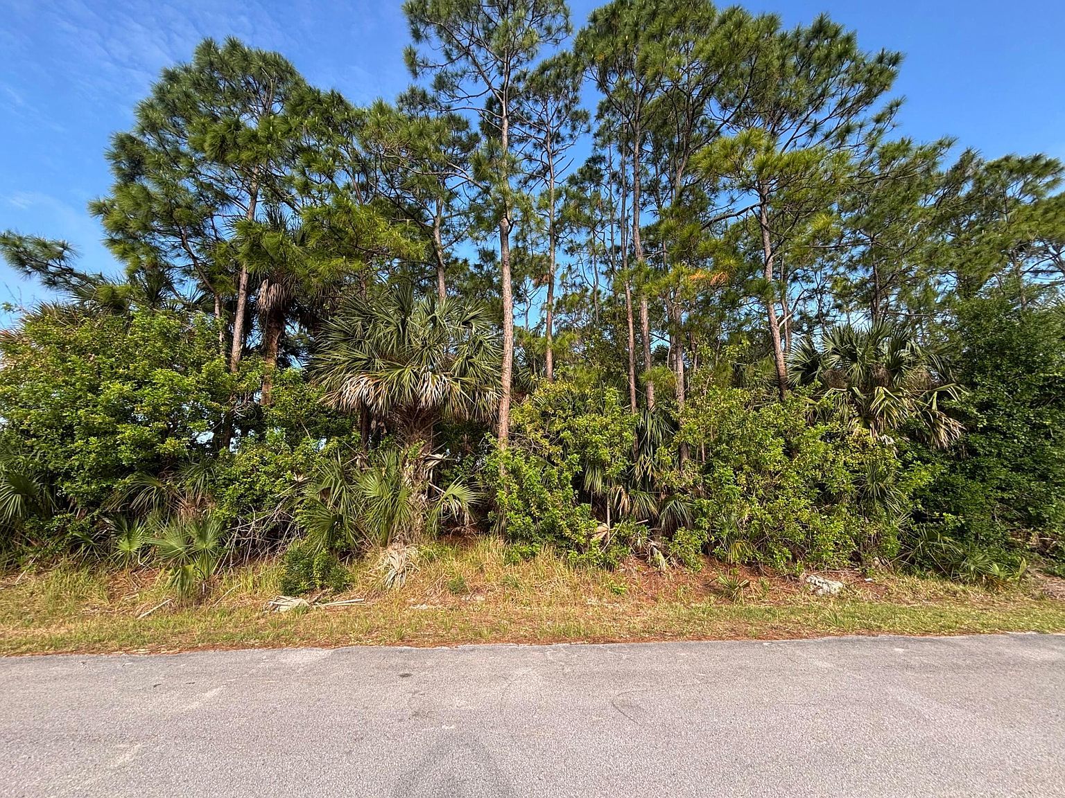 556 NE Burlington Avenue Ave NE Palm Bay, FL 32907, 32907