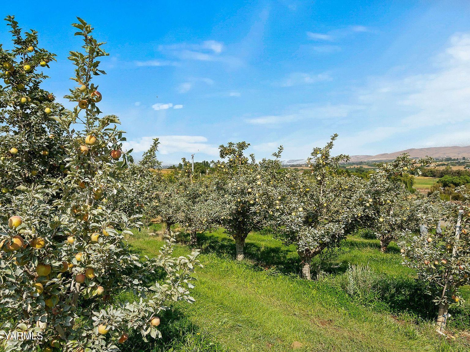 Nka Desmarais Rd Moxee, WA 98936 - Thumbnail 2