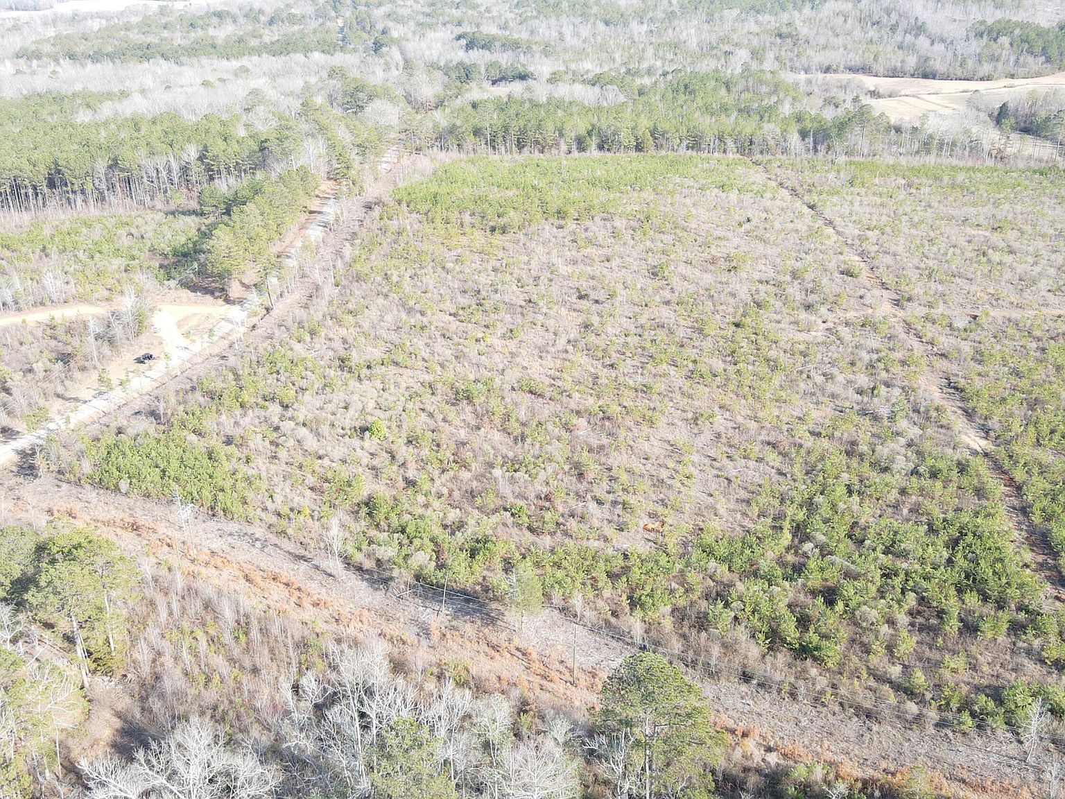 LOT 5 Springhill Rd Millport, AL 35576 - Thumbnail 2