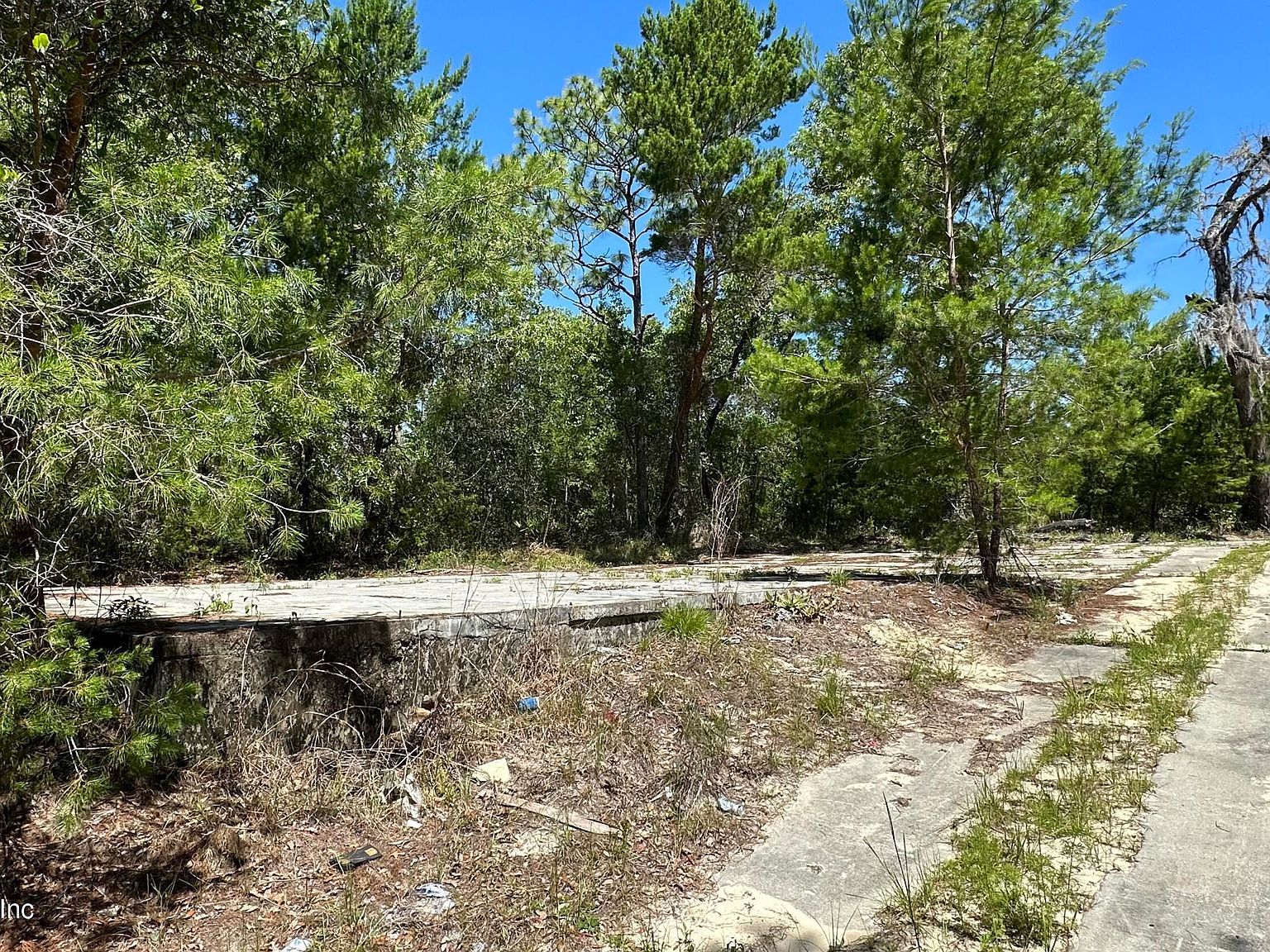 110 Lincoln St Satsuma, FL 32189 - Thumbnail 2