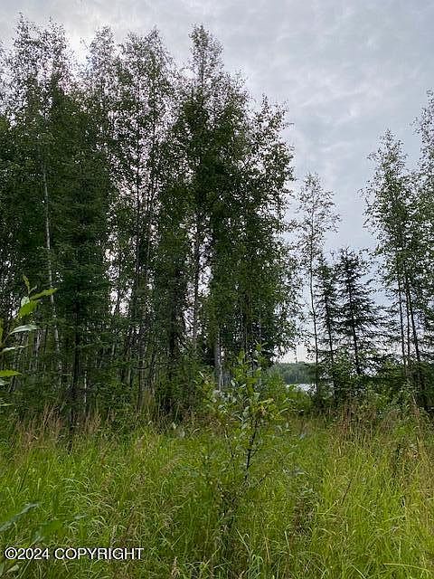 3846 N White Knight Dr Wasilla, AK 99623 - Thumbnail 2