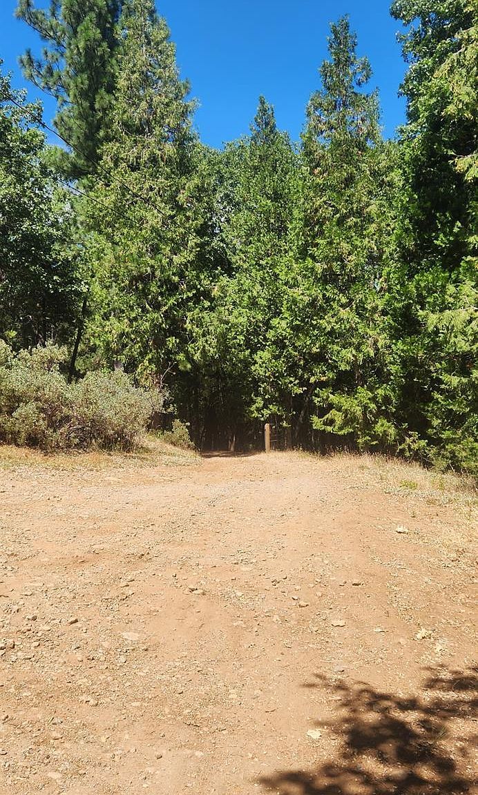 16949 Jones Ridge Rd Grass Valley, CA 95945  | Land/Lot