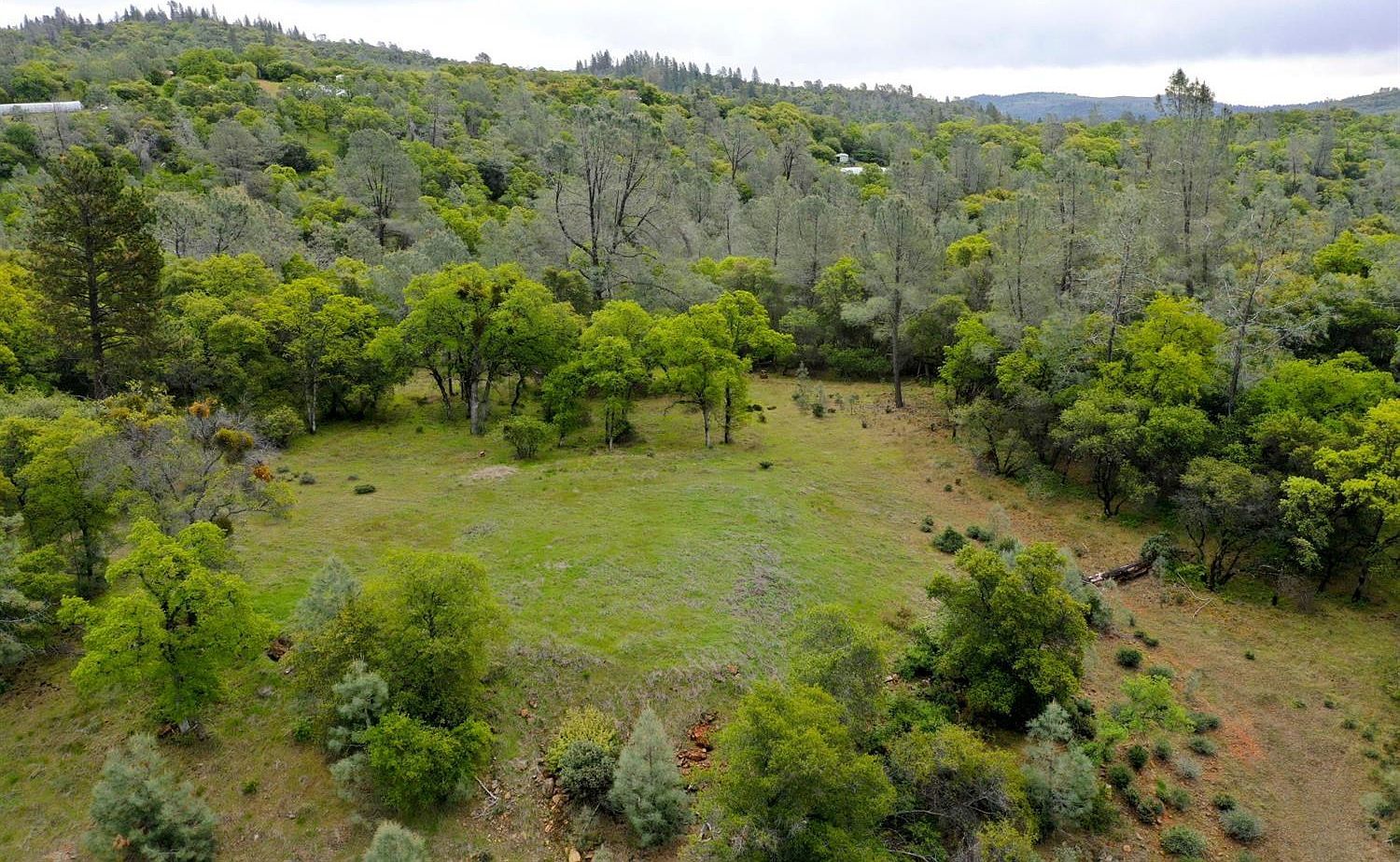 Eagle Nest Way Oregon House, CA 95962 - Thumbnail 2