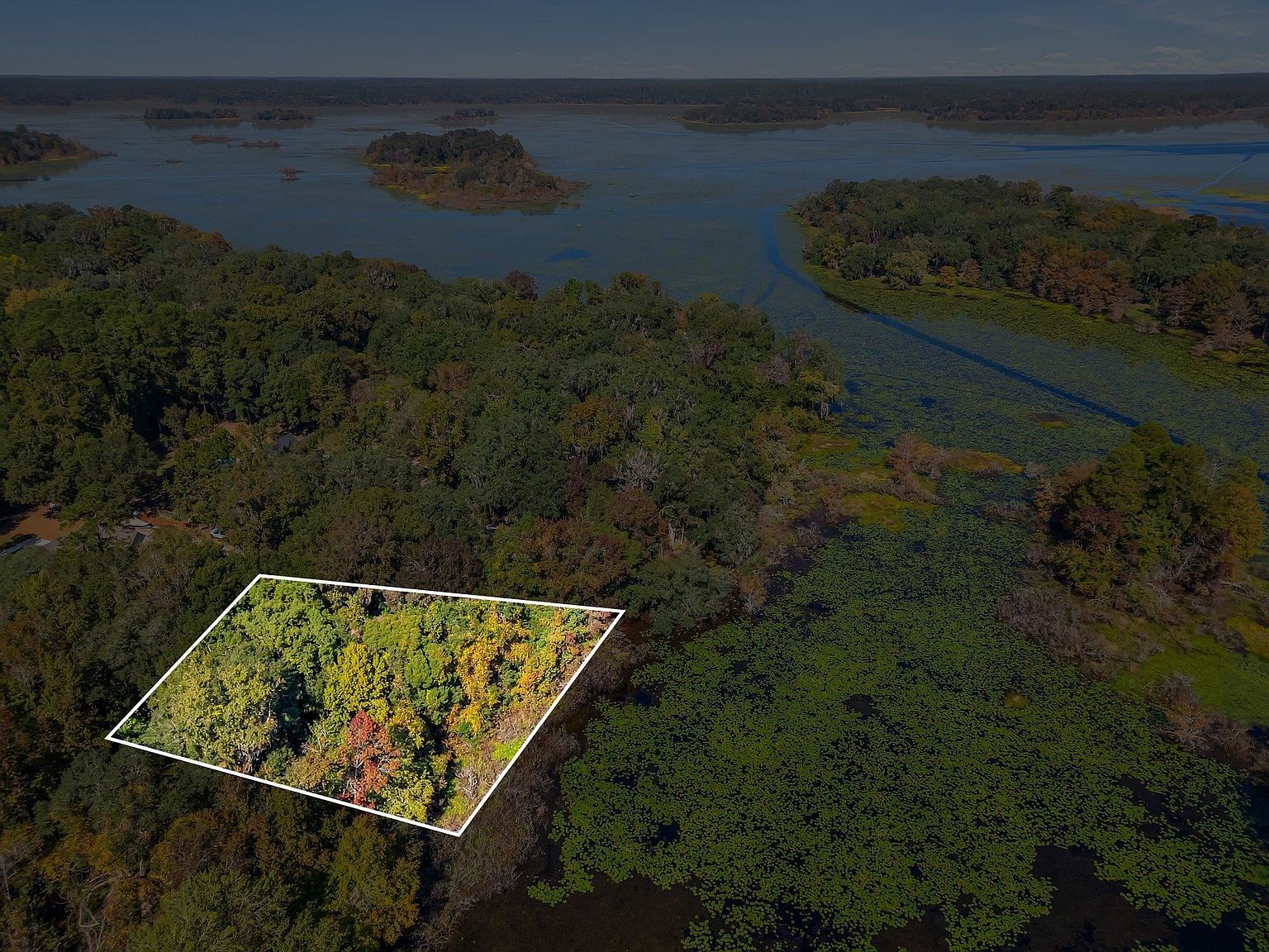 0 Lake Iamonia Dr Tallahassee, FL 32312 - Thumbnail 2