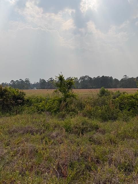 0 Moore Rd Lot 8 Naylor, GA 31641, 31641