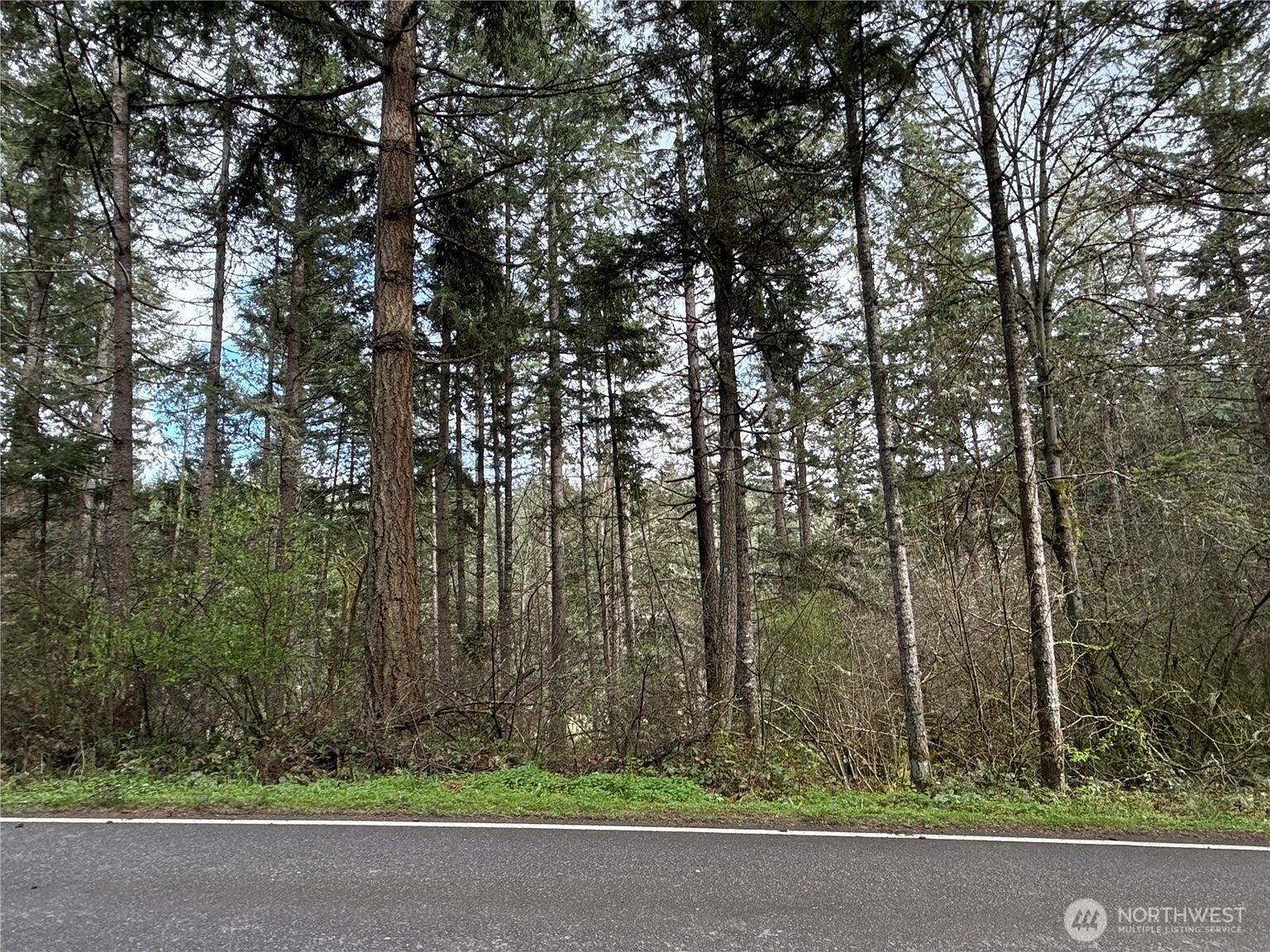 17636 E Clear Lake Blvd SE Yelm, WA 98597 - Thumbnail 2