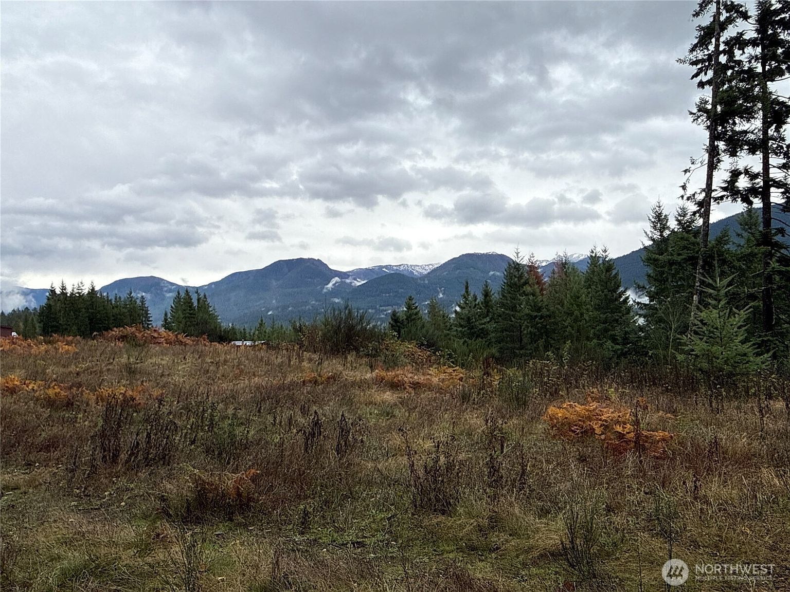 2 Xx Forest Rd #52 Packwood, WA 98361 - Thumbnail 2