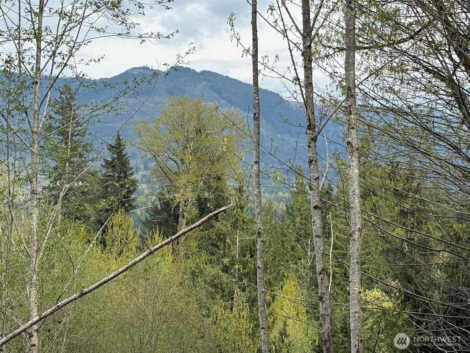 33115 37th Ave NE Arlington, WA 98223, 98223