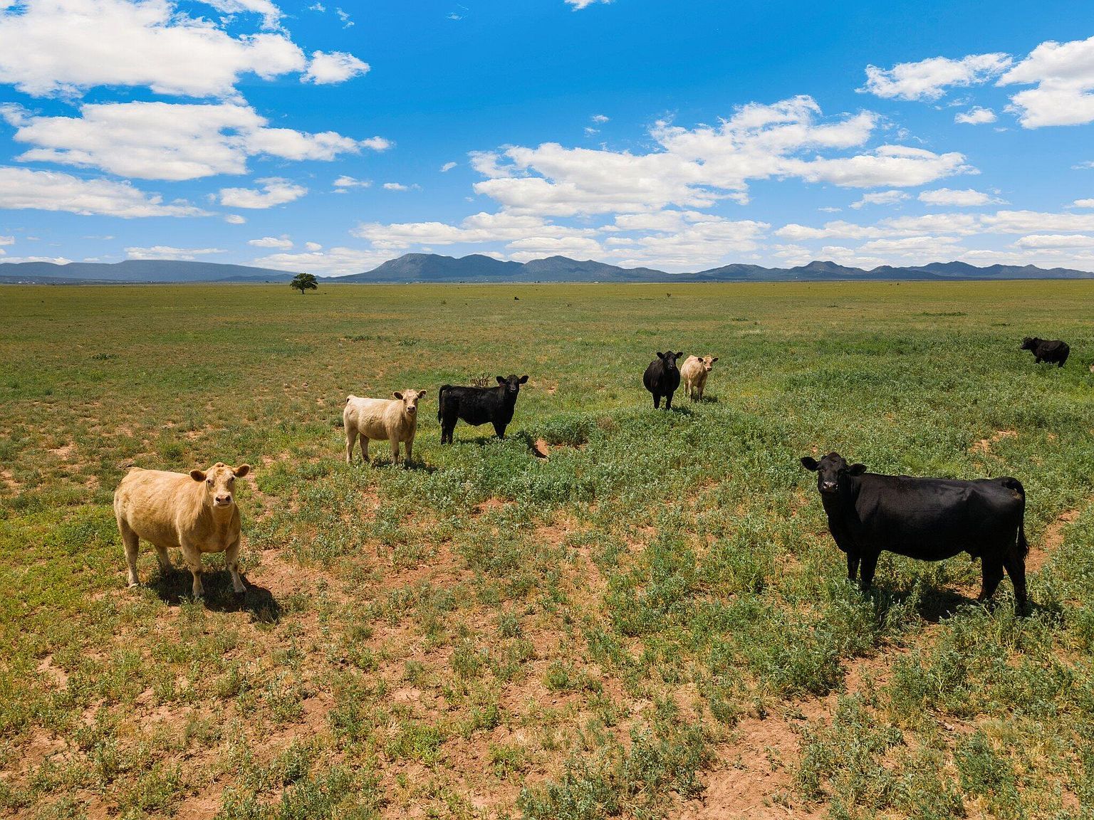 (undisclosed Address) Stanley, NM 87056 - Thumbnail 2