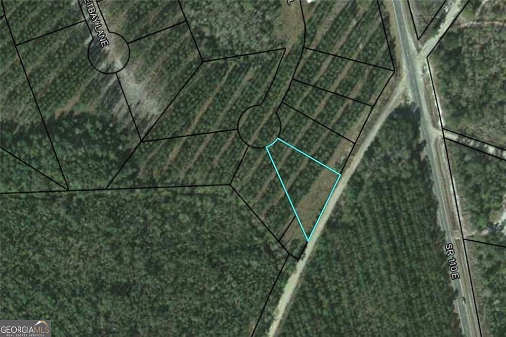 LOT 34 Landing Ln Waynesville, GA 31566 - Thumbnail 2