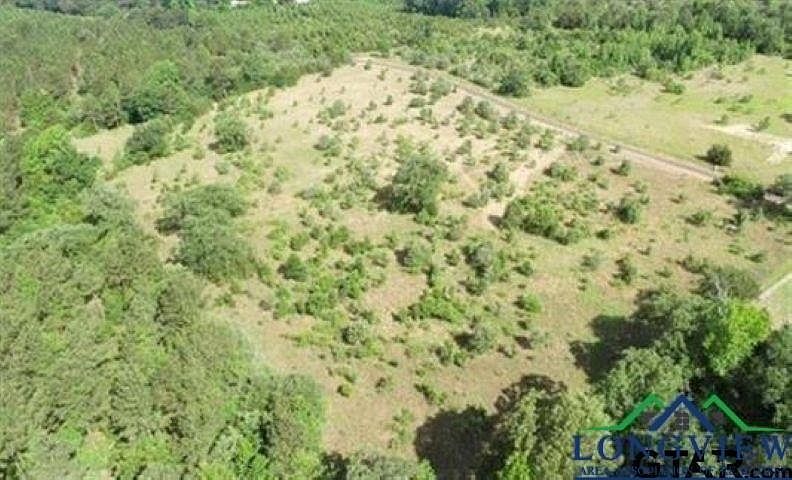County Road 1242 Linden, TX 75563  | Land/Lot