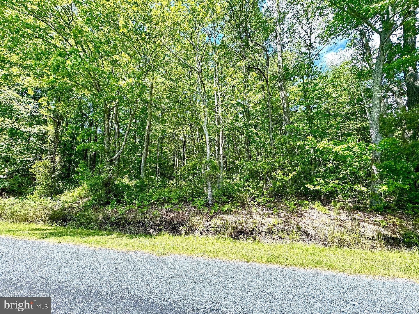 0 Anderson Rd Princess Anne, MD 21853  | Land/Lot