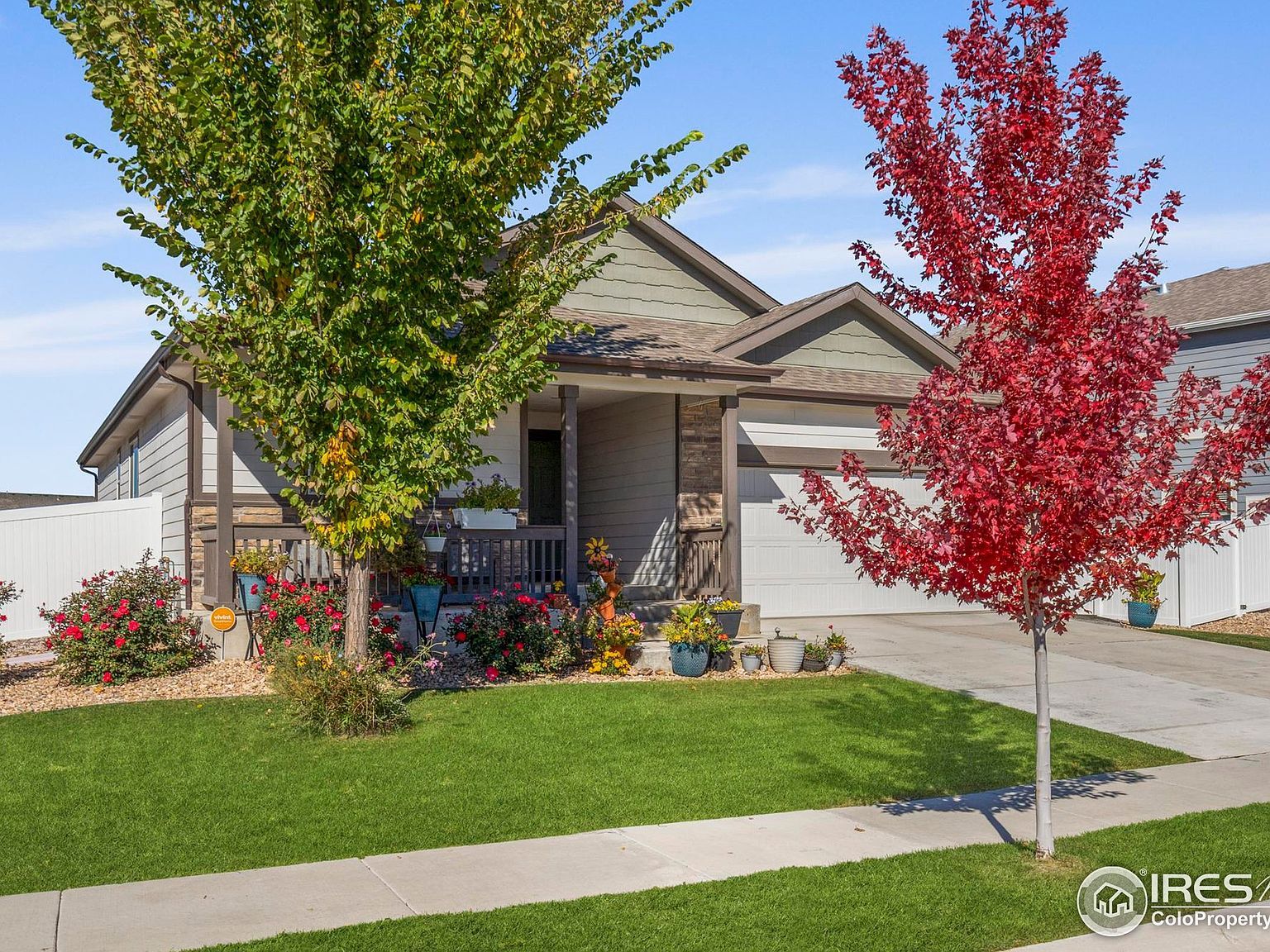 941 Barasingha St Severance, CO 80550 - Thumbnail 2