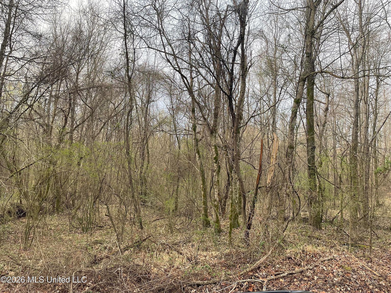 Bend Rd Coldwater, MS 38618  | Land/Lot