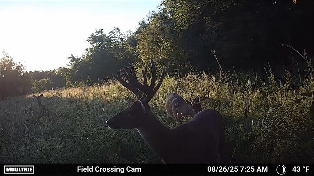 SE 700th Rd Kincaid, KS 66039 - Thumbnail 2
