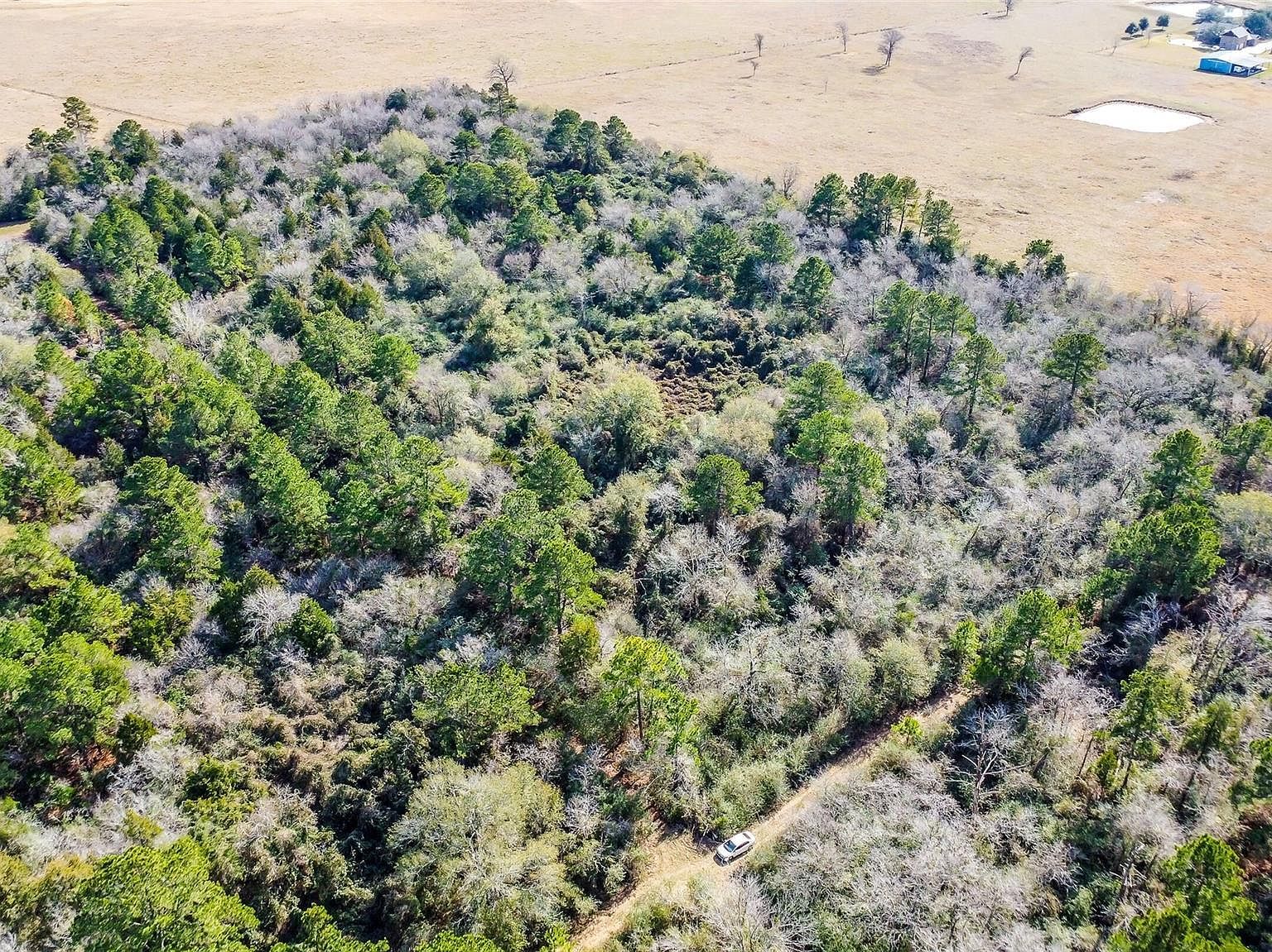 17625 Falcon Ln Hempstead, TX 77445 - Thumbnail 2