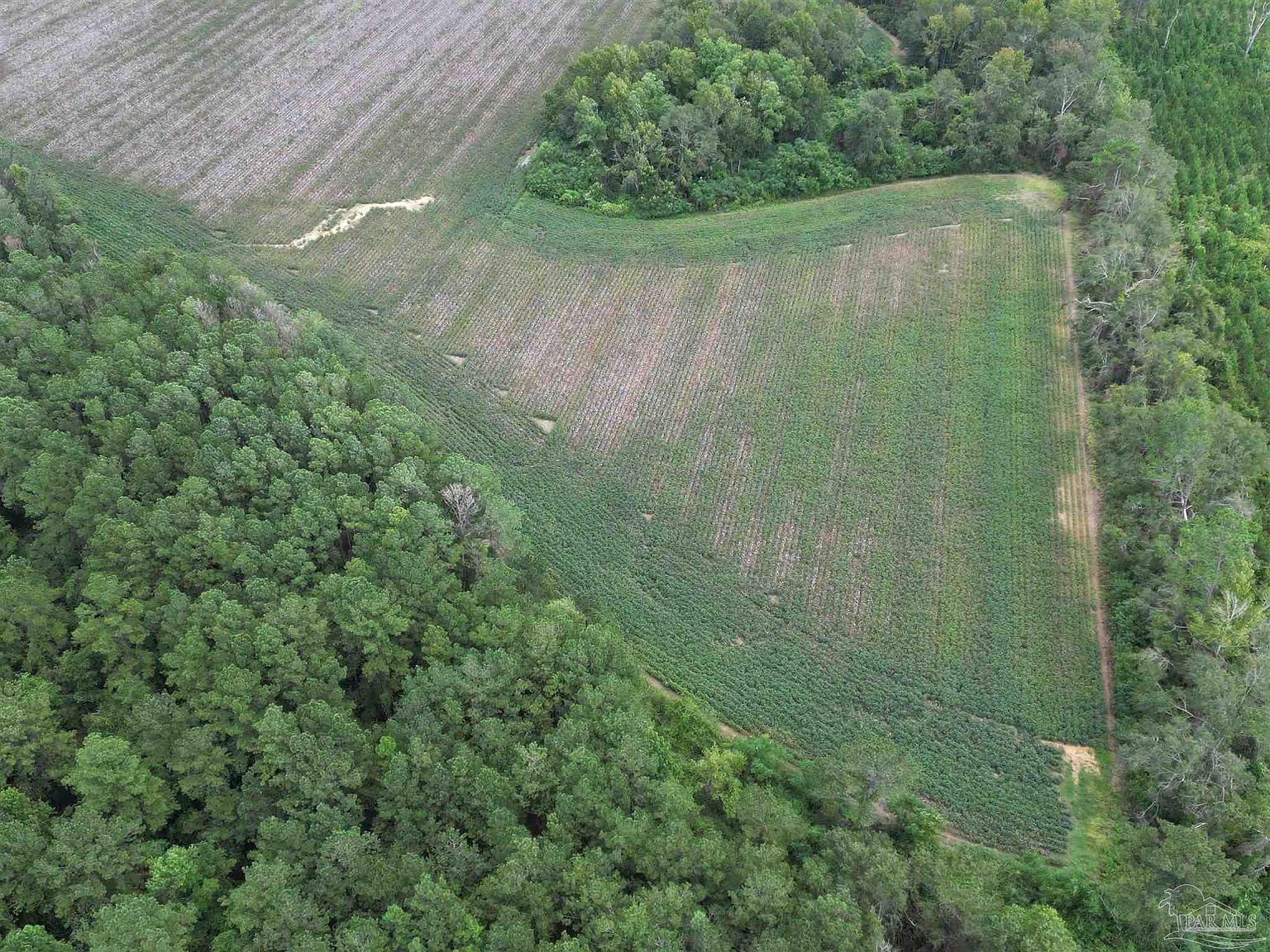 0 Highway 87 N Jay, FL 32565 - Thumbnail 2