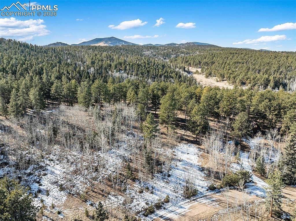 LOT 20 Echo Lake Dr Lake George, CO 80827 - Thumbnail 2