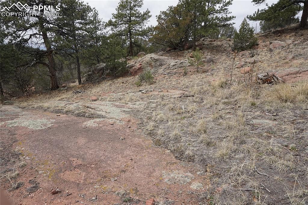 1893 Arapahoe Dr Florissant, CO 80816  | Land/Lot