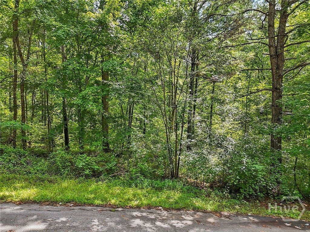 1040 Union Station Rd Greensboro, GA 30642 - Thumbnail 2