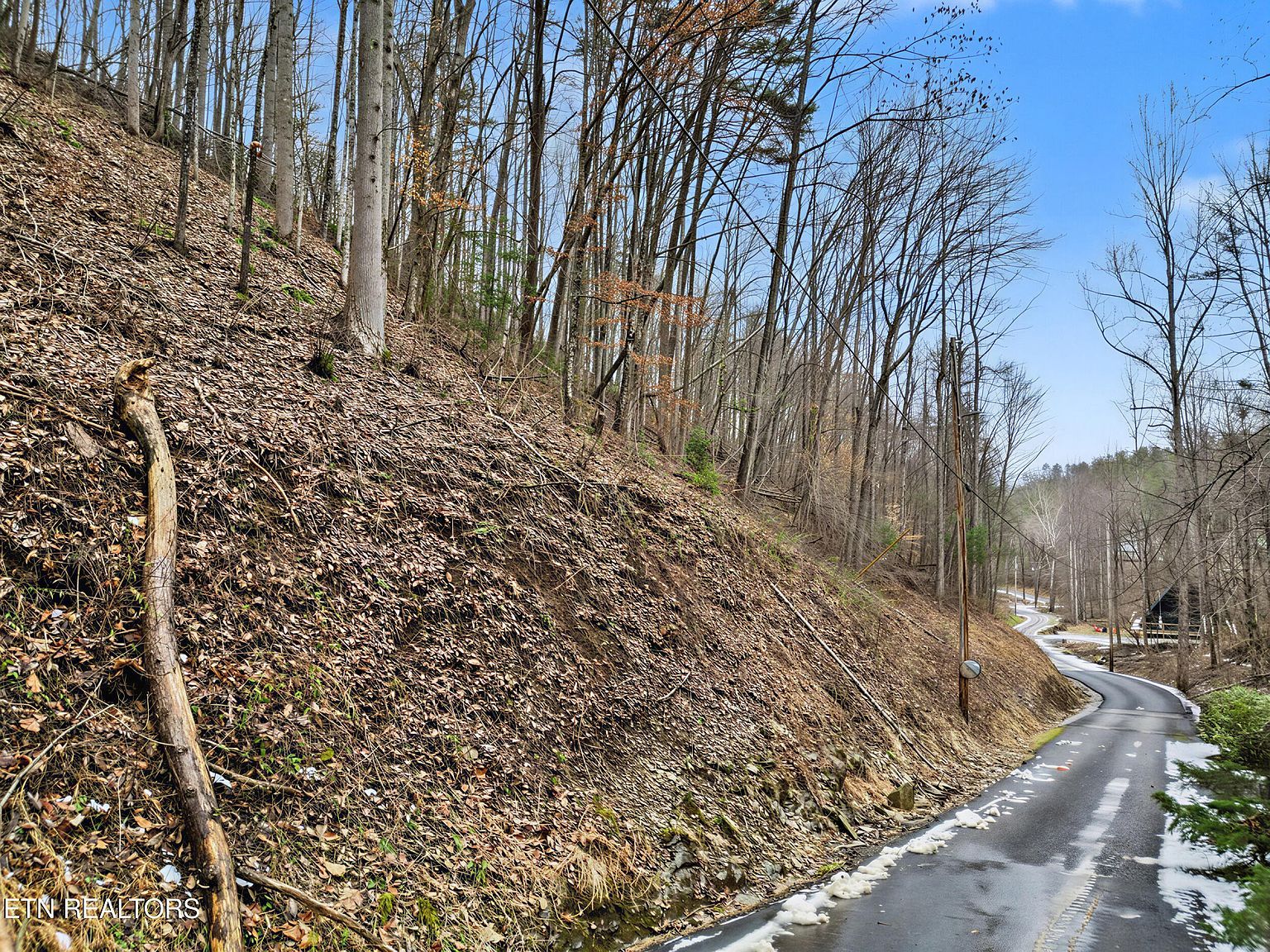 LOT 6 Emerald Springs Loop Sevierville, TN 37862 - Thumbnail 2