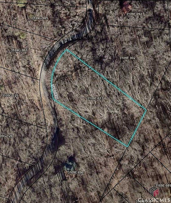 0 Skyview Dr Ellijay, GA 30536 - Thumbnail 2