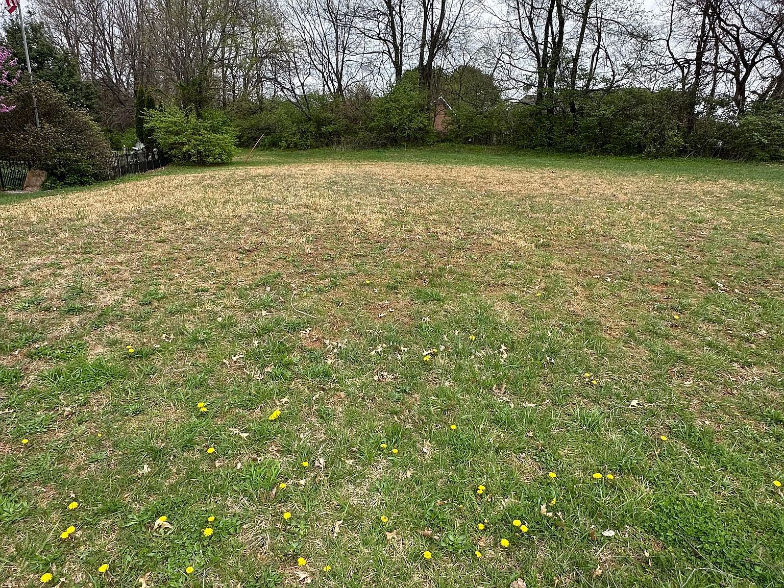 104 McKenna Way Bardstown, KY 40004 - Thumbnail 2