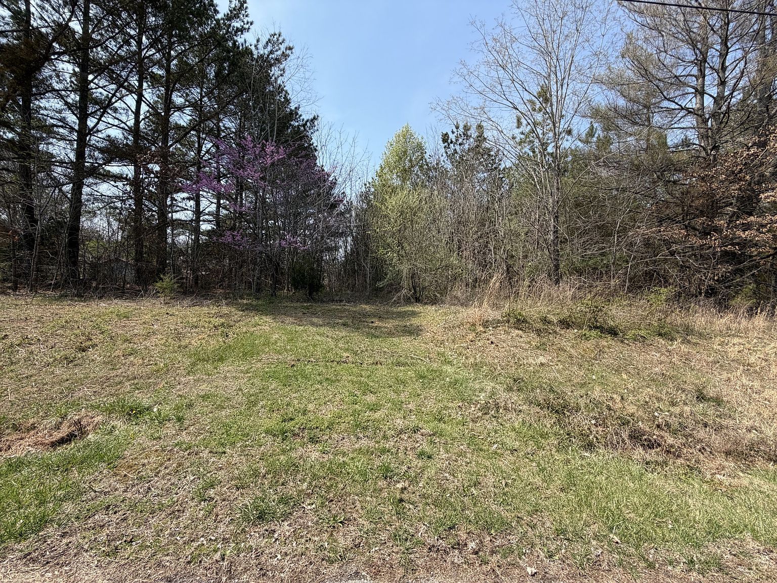 5106 Workman Rd Southside, TN 37171  | Land/Lot