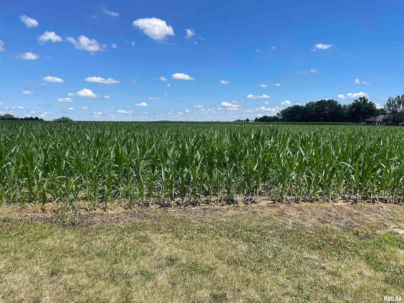 67 Centennial Park St Springfield, IL 62711  | Land/Lot