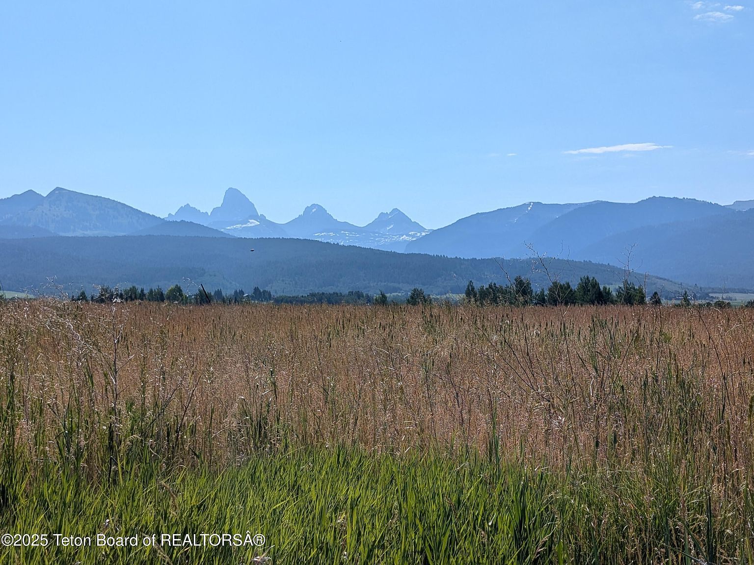 2350 Snow Crest Ranch Dr Driggs, ID 83422 - Thumbnail 2