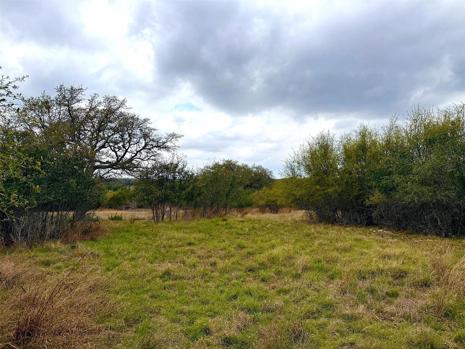 103 Ira Long Blanco, TX 78606  | Land/Lot