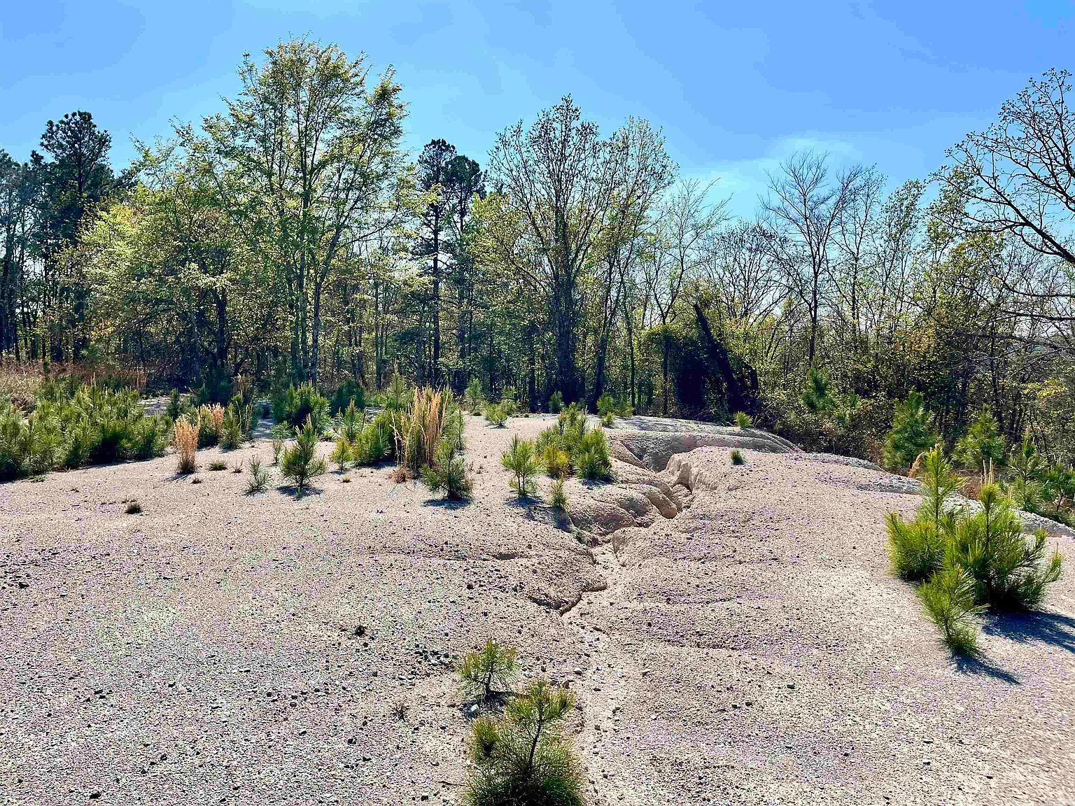 4664 E Grand Ave Hot Springs National Park, AR 71901, 71901