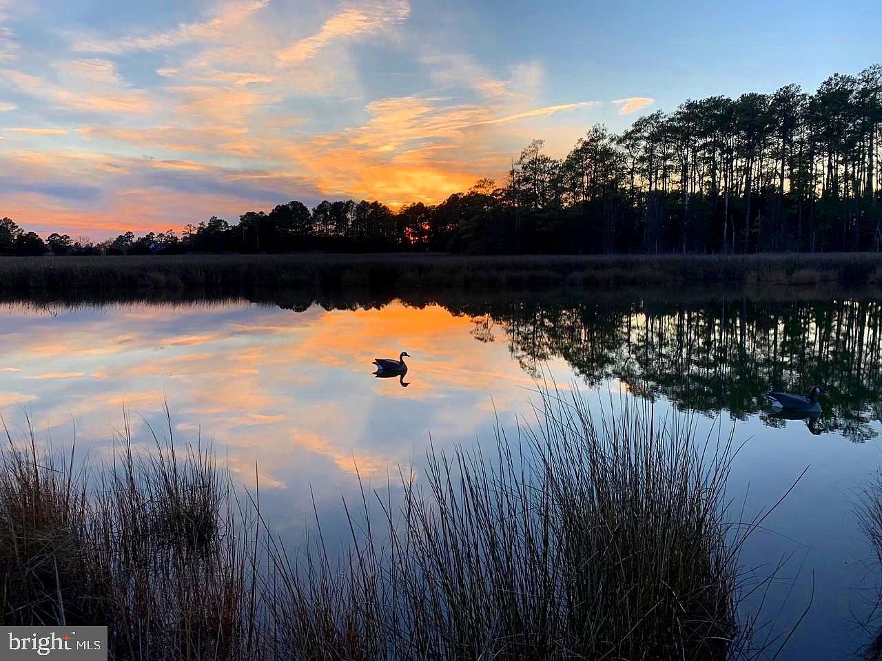 1907 Bishops Head Rd Toddville, MD 21672 - Thumbnail 2