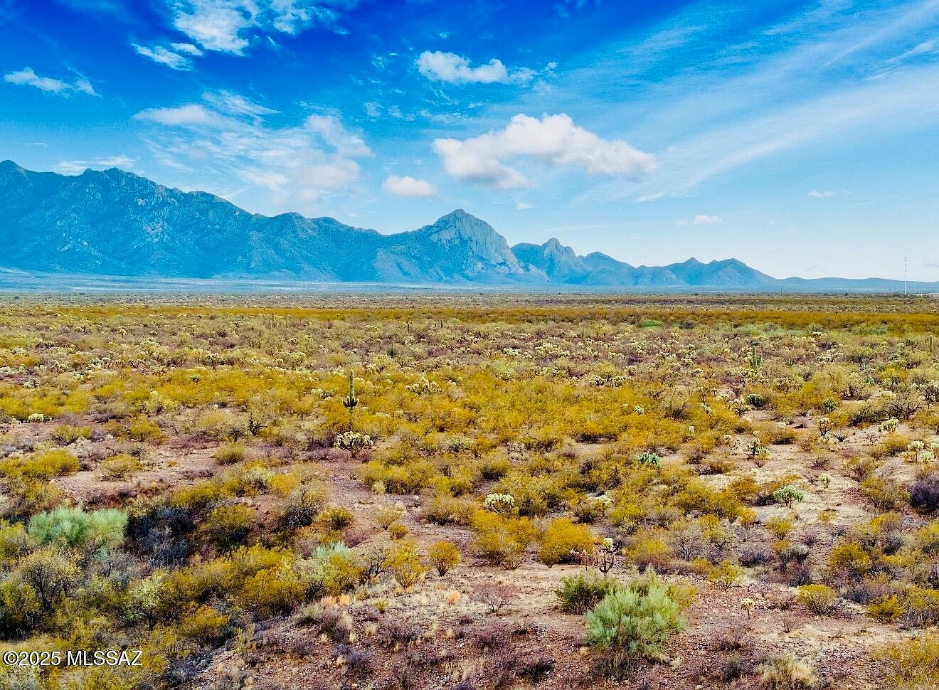 802 E Canyon Rock Rd #27 Green Valley, AZ 85614  | Land/Lot