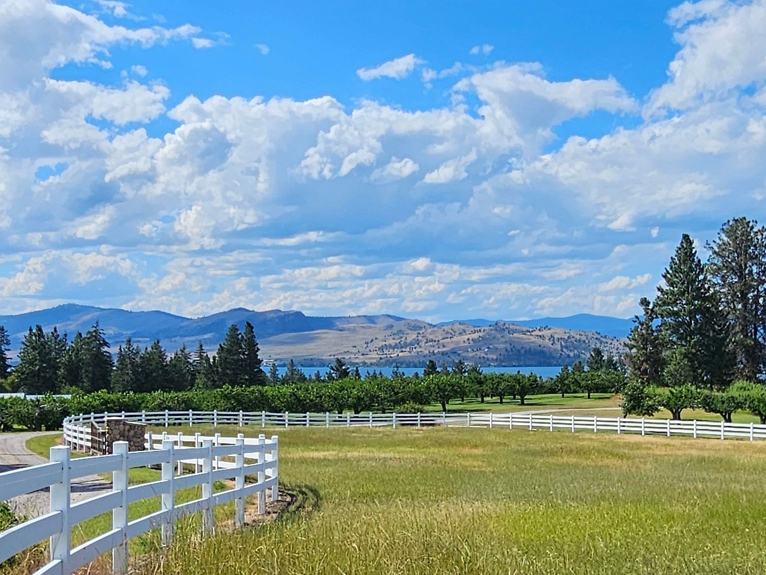 39784 Us Highway 93 Big Arm, MT 59910  | Land/Lot