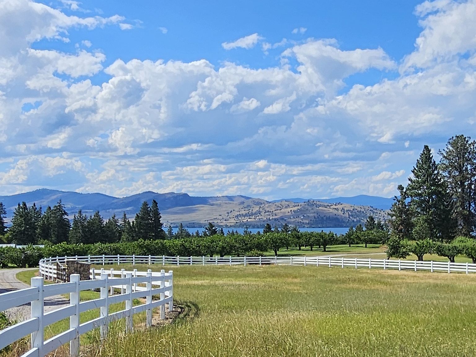 39784 Us Highway 93 Polson, MT 59860, 59860