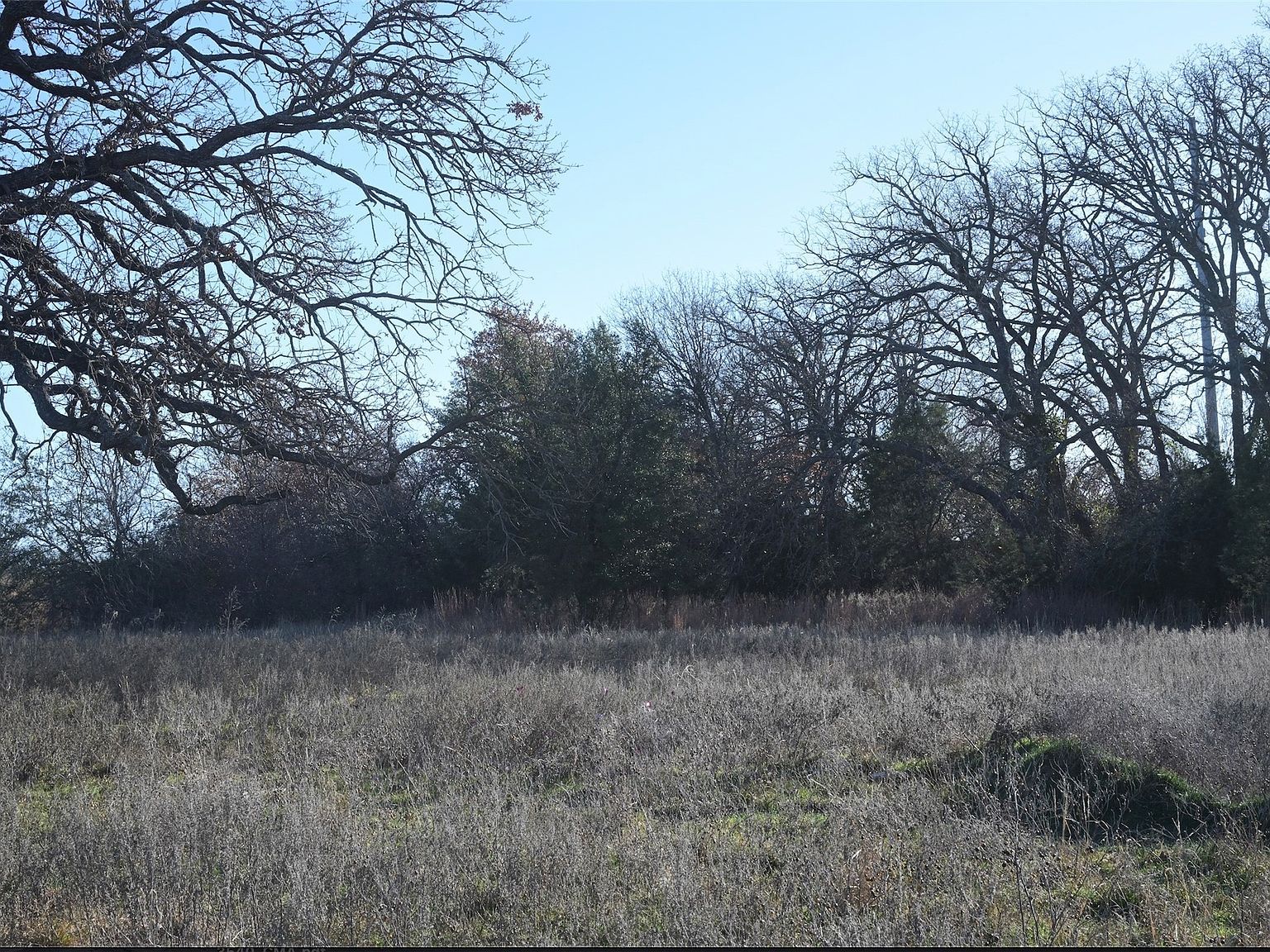 137 Aslan Rd Poolville, TX 76487 - Thumbnail 2