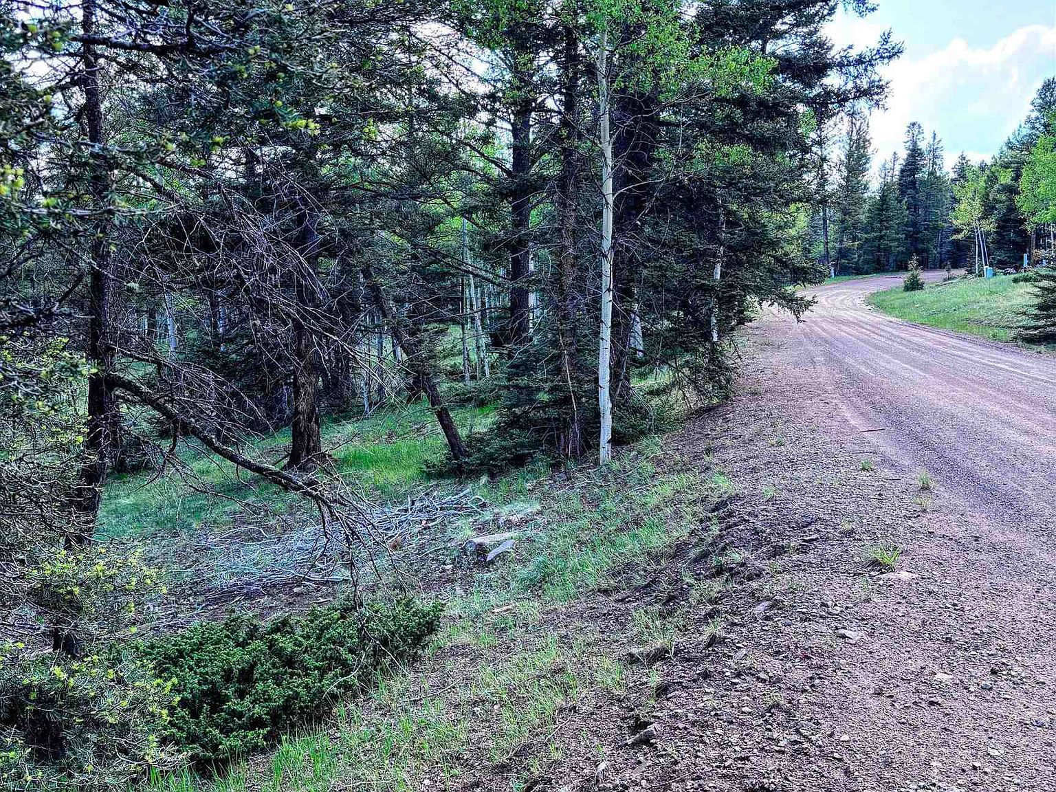 LOT 1042 Starshine Overlook Angel Fire, NM 87710 - Thumbnail 2