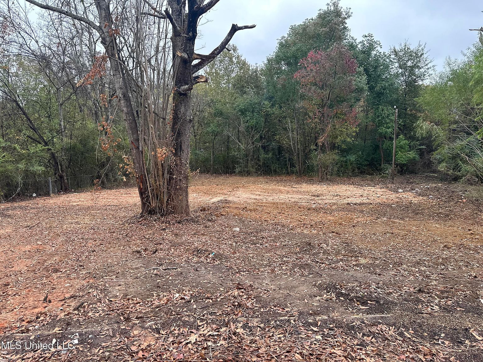 250 Queen Anne Ln LOT 20 Jackson, MS 39209 - Thumbnail 2