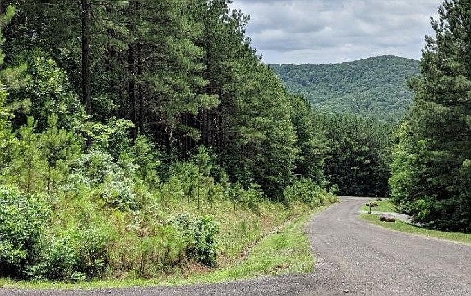 LOT 6 Black Bear Ridge Rd Ellijay, GA 30536 - Thumbnail 2