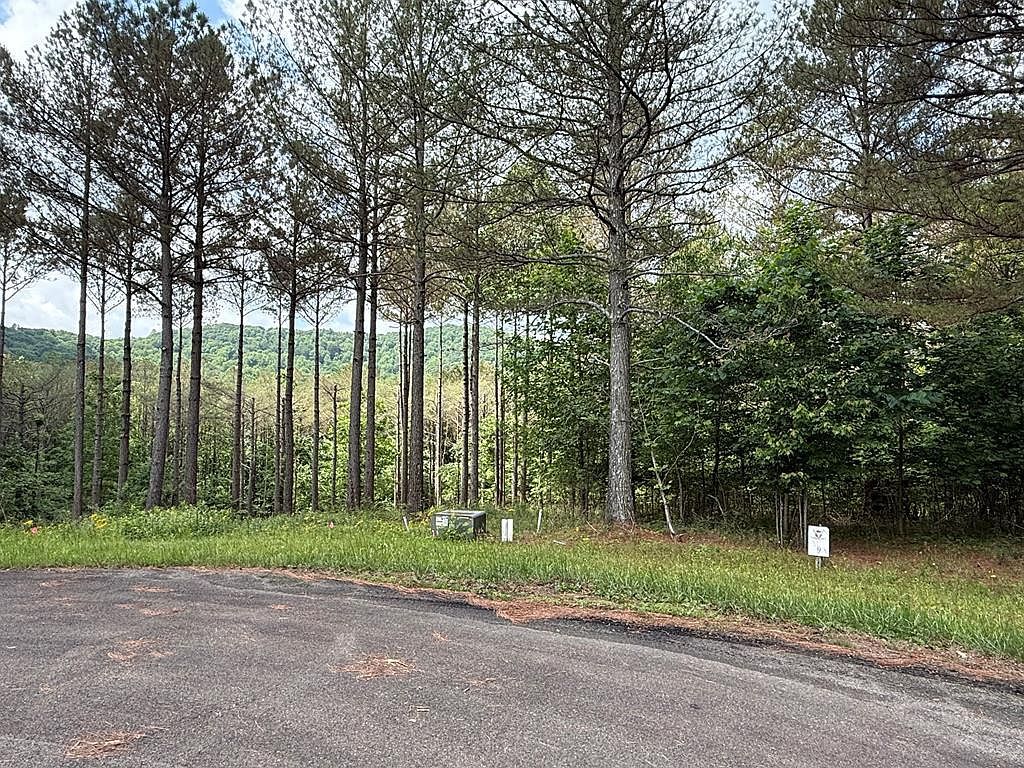 LOT 9 Eastview Trl Ellijay, GA 30536 - Thumbnail 2