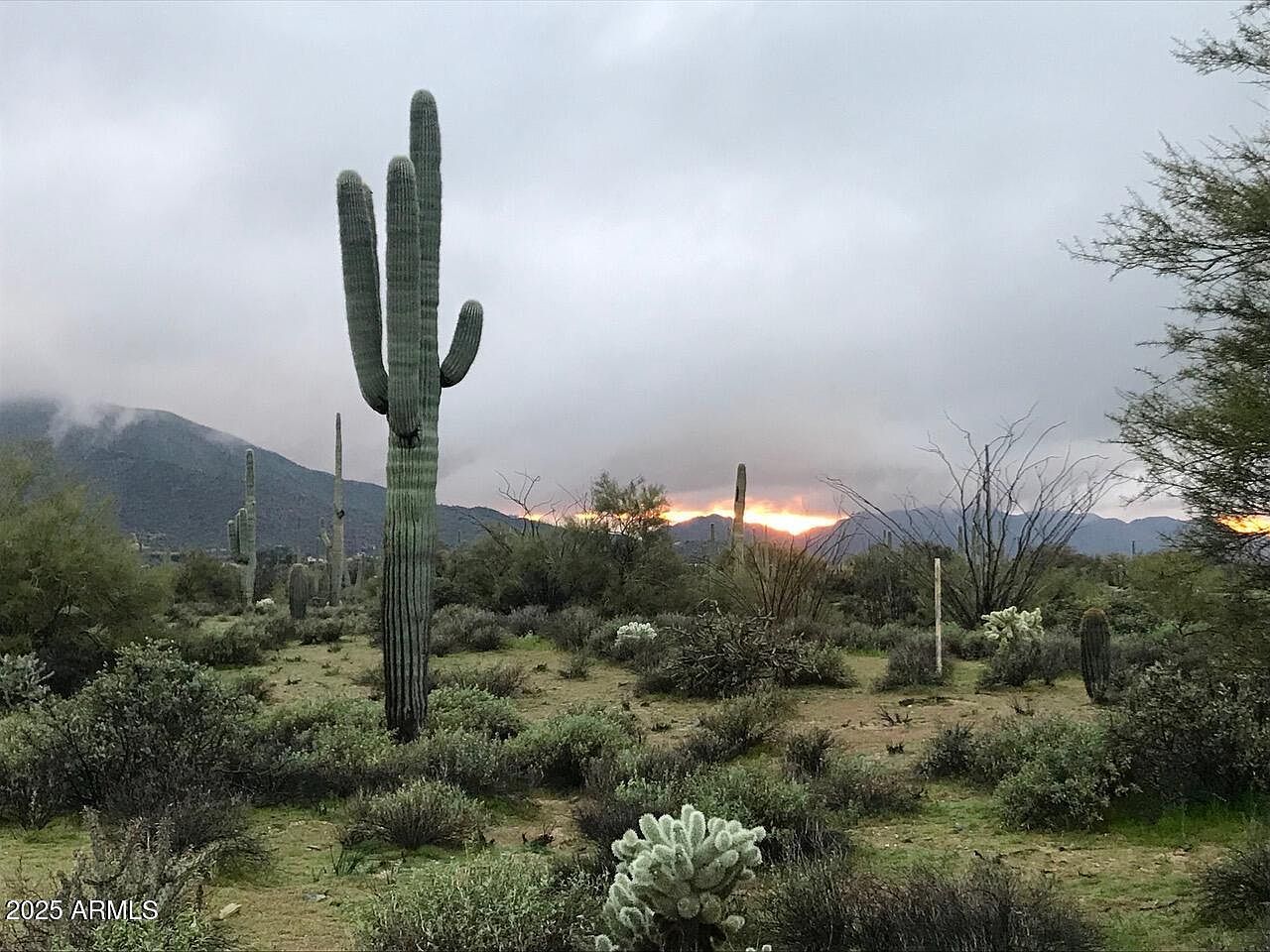 39005 N Crested Quail Run #18 Carefree, AZ 85377 - Thumbnail 2