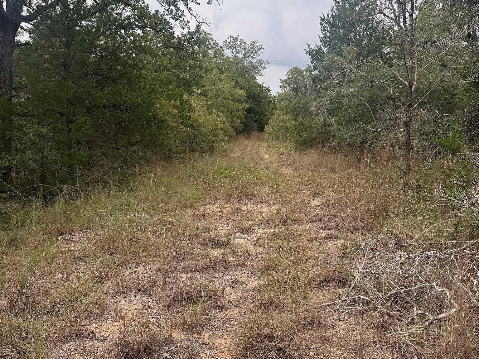 6 Spruce St Paige, TX 78659 - Thumbnail 2