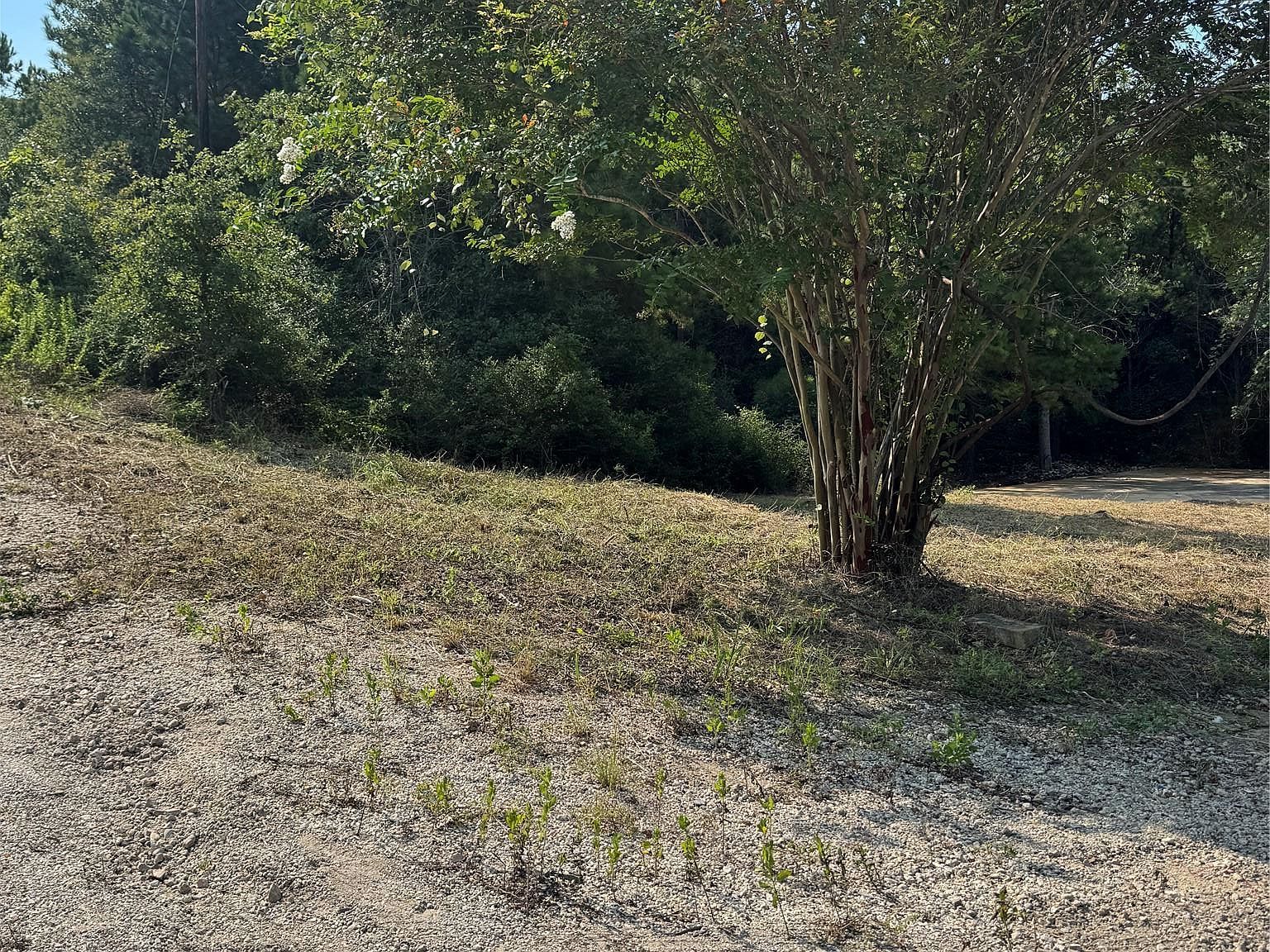 131 Nakalele Ln Bastrop, TX 78602 - Thumbnail 2