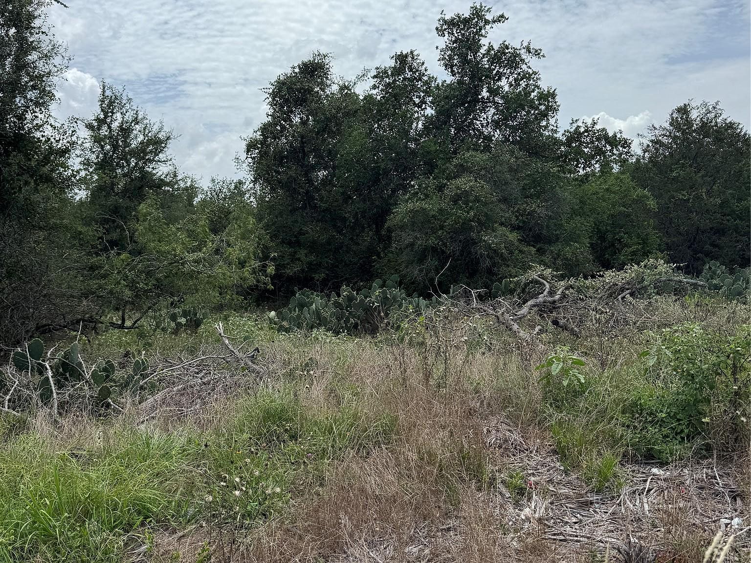 LOT 687 Kawainui Ln Bastrop, TX 78602 - Thumbnail 2