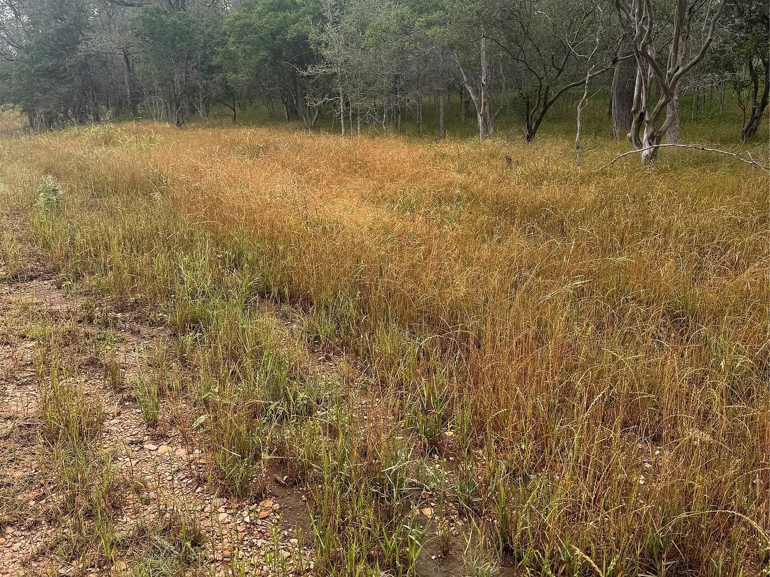 107 Hauula Ct Bastrop, TX 78602 - Thumbnail 2